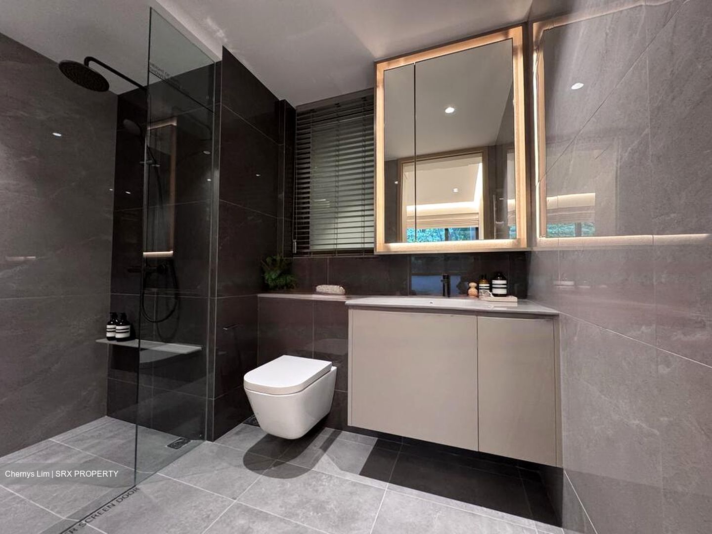 Pinetree Hill (D21), Condominium #474674901